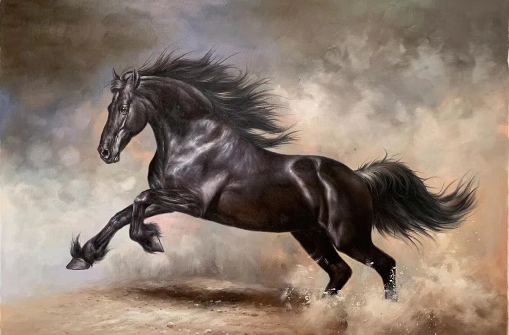 Black Stallion